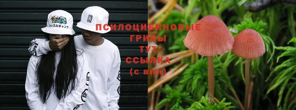 таблы Абаза