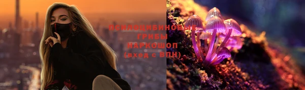 a pvp Алексин