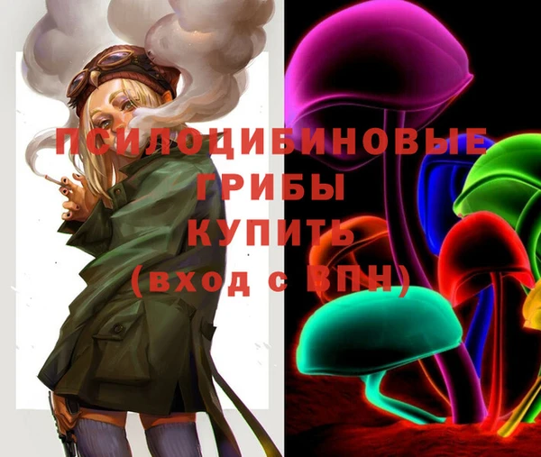 мяу мяу мука Абдулино
