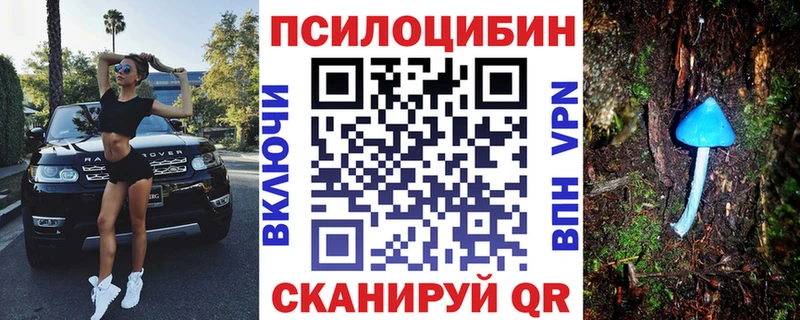 Галлюциногенные грибы Cubensis  Темников 